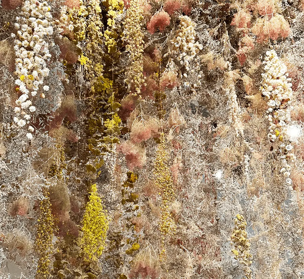 Flowers and flowers