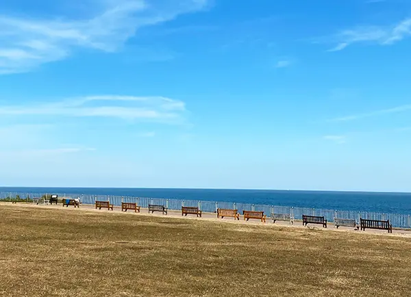 海に向かって並ぶカラフルなベンチ
