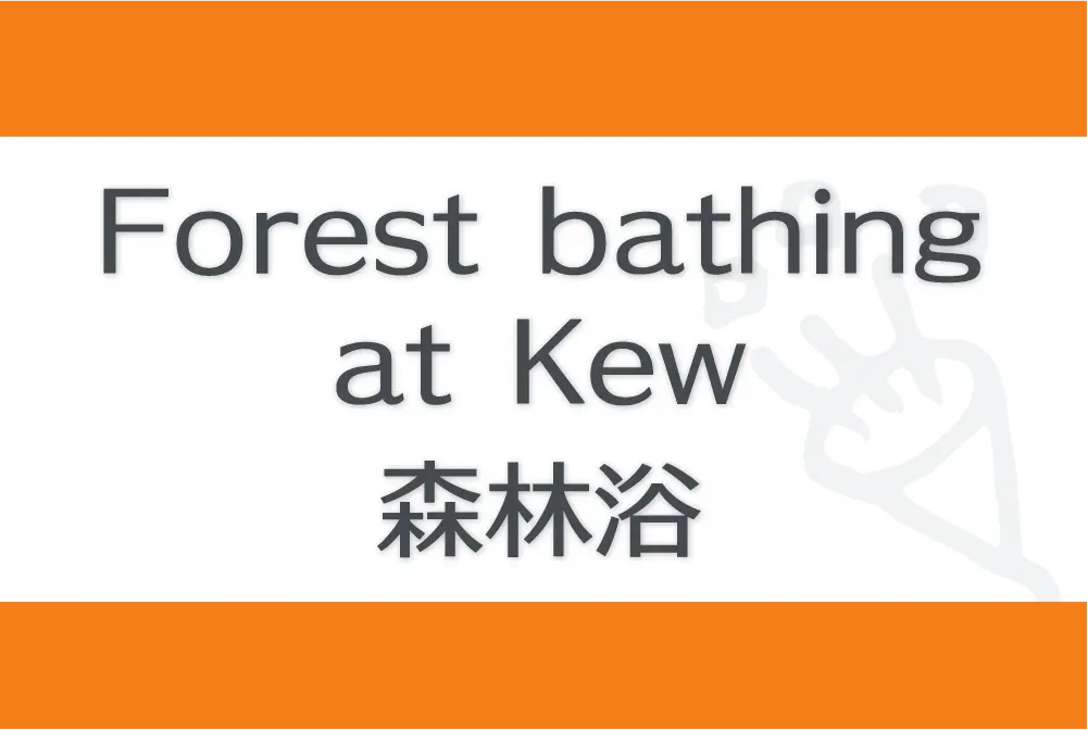 Forest bathing at Kew　森林浴